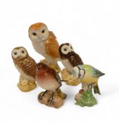 Beswick birds to include Barn Owl, two Tawny Owl's in different colourways, Robin 980 and Blue Tit
