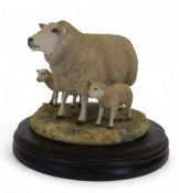 Border Fine Arts Texel Ewe and Lambs, model no.L37 by Ray Ayres, limited edition no.84 of 850. (H: