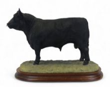 Border Fine Arts Aberdeen Angus Bull, model no.B0773 by Jack Crewdson, limited edition no.136 of