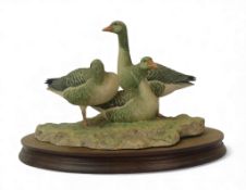 Border Fine Arts Greylag Geese, model no.L93 by Ray Ayres, limited edition no.338 of 950. (L: 27cm)