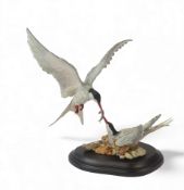 Country Artists Swallows of the Seas, model no.02460 by David Ivey, limited edition no.72 of 400,