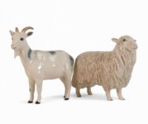 Beswick, Nigerian pot bellied pygmy goat, G223, together with Cotswold Sheep 4122. (2)