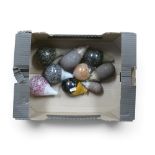 A group of Glass Hedgehog paperweights to include 3 Wedgwood examples, 3 Langham Glass examples, and