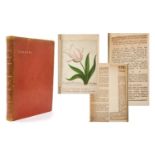 Godfrey family - interesting album of items relating to the Godfrey family including a fine 17th cen