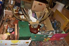 SIX BOXES AND LOOSE MISCELLANEOUS ITEMS, to include a mounted set of nine point antlers, a small
