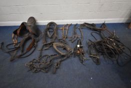 A VARIETY OF HORSE TACK AND ACCESSORIES, such as a saddle, blinkers, collars, belts, hames, etc,