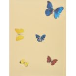 Damien Hirst,  British b.1965-  All you need is love, 2008;  screenprint in colours with diamon...