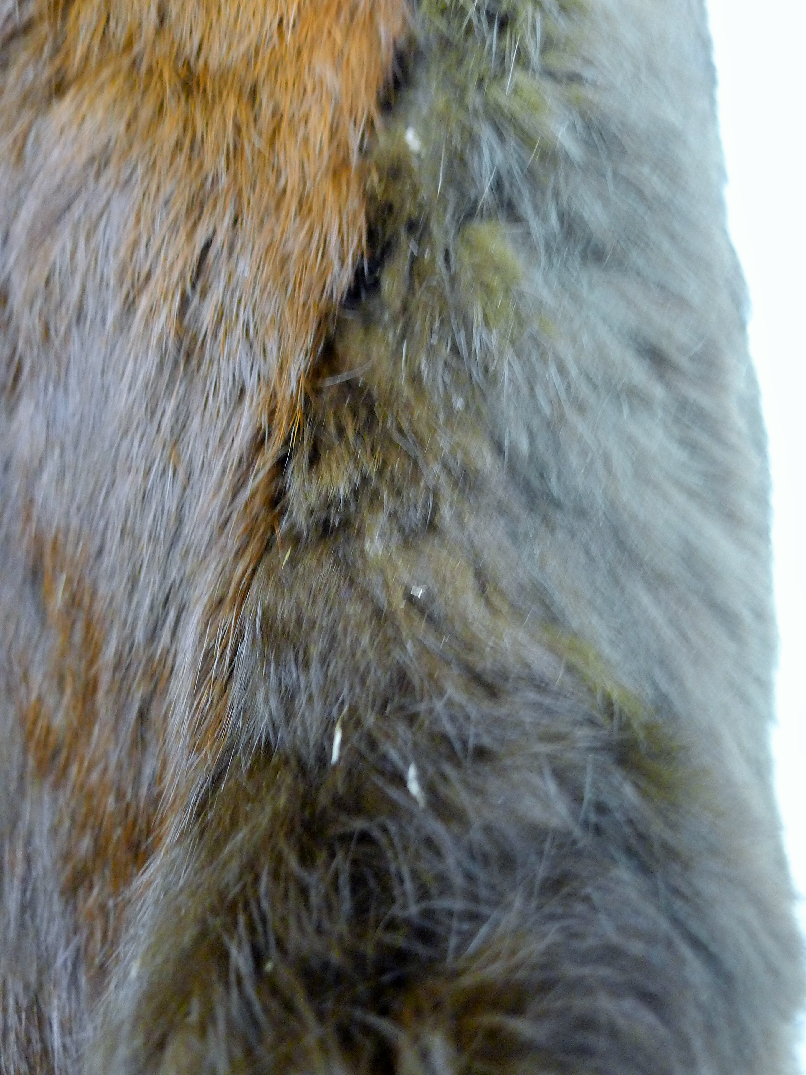 A vintage French Connection ladies' leather jacket, size small and two vintage fur coats. - Image 9 of 9