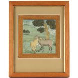 Property of a gentleman - Indian Rajasthan school, late 18th century - WILD ANTELOPE, MALE AND