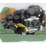 A Quantity of Modern 35mm SLR Cameras, to include Canon EOS1000, Praktica BX20, Olympia DL2000A,