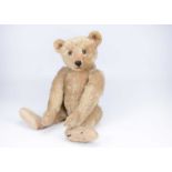 A large early Steiff teddy bear, circa 1910,