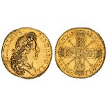 NGC AU58 | William III, Solus (1694-1702), 'Fine Work' Five-Guineas, 1701 DECIMO TERTIO, 'Plain Scep