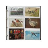 COLLECTION OF POSTCARDS, 280+, BIRDS/ ANIMALS, 80% COLOUR, SOME B/W, POSTALLY USED/ UNUSED MIX.