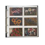 COLLECTION OF POSTCARDS, 400+, FLOWERS, FRUITS, MIX OF USED/ UNUSED, 1900s ONW. GOOD.