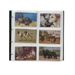 COLLECTION OF POSTCARDS, 280+, MIX OF COLOUR/ B/W, ANIMAL RELATED, HEAVY DOG & HORSE CONTENT,