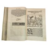 Plutarchus Ankunfft, Leben und Wesen, Glück und unglück, gut und böse, weise und unweise Räthe,