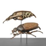 Dr Louis Thomas Jerôme Auzoux (French, 1797-1880), an anatomical model of a Cockchafer (Melolontha v