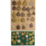 A Collection of Forty Six First/Second World War Canadian Expeditionary Force Cap Badges,