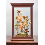 Entomology: A Cased Display of Butterflies & Moths, modern, a display of fifteen various