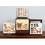 Entomology: A Collectors Chest of World Moths & Butterflies, late 20th century, a collectors chest