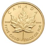 Canada, Gold One Dollar 1996, 1/20oz fine gold, (.999 gold, 14mm, 1.60g), encapsulated, brilliant