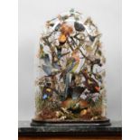 Taxidermy: A Late Victorian Display of Tropical Birds, circa 1880-1900, a typical colourful