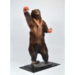 Taxidermy: The Famous Late Victorian "Bruno The Battling Bear", circa 1850-1900, the infamous