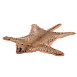 Taxidermy: African Leopard Skin Rug (Panthera pardus pardus), dated May 1964, Mozambique, Africa, by