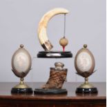 Natural History: A Group of Natural History Collectibles, to include - a late 19th century silver