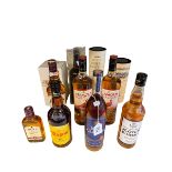 Eleven bottles of whisky and spirits including Speyside Single Malt and Edradour Highland SIngle