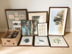 A collection of pictures and prints, tapestries, picture frames, etc.