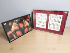 After Ros Shiers : No.