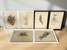 A group of pastel drawings, the majority by Michele Dodd.