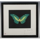 Damien Hirst (British b.1965) - Green Butterfly (2008), photogravure, signed and inscribed 'for