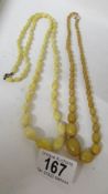 Two early 20th century amber coloured necklaces.