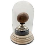 A scarce, large bezoar stone, displayed beneath an antique glass dome on a silver-mounted ebonised