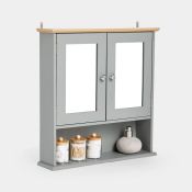 Boxed Shrewsbury Grey Mirrored Bathroom Cabinet-RS2.8