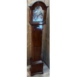 German Westmister/ Whittington Chime Grandmother Clock. Mahogany case. 152cm high.