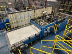 Bevco High Level Bulk Bottle Depalletizer