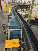 Krones Full Bottle Conveyor from Krones Checkmat to Accumulation Table