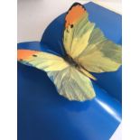 Damien Hirst (b 1965) I Want To Spend My Life Everywhere, With Everyone, 3D Book, 1997