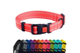 48 x Assorted Pet Collars Total RRP Â£819.14