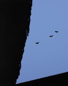 Patrick Caulfield Signed/Numbered silkscreen from 'some Poems by Jules Laforgue'