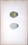The Raven William Hewitson Antique Nests & Eggs of British Birds Print-55