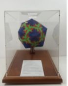 Display Replica of Rhinovirus - Common Cold Virus - A.T.O.M. 45x55x65cm Pallet Shipping