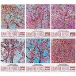 Damien Hirst - The full set of six Cherry Blossom Posters.